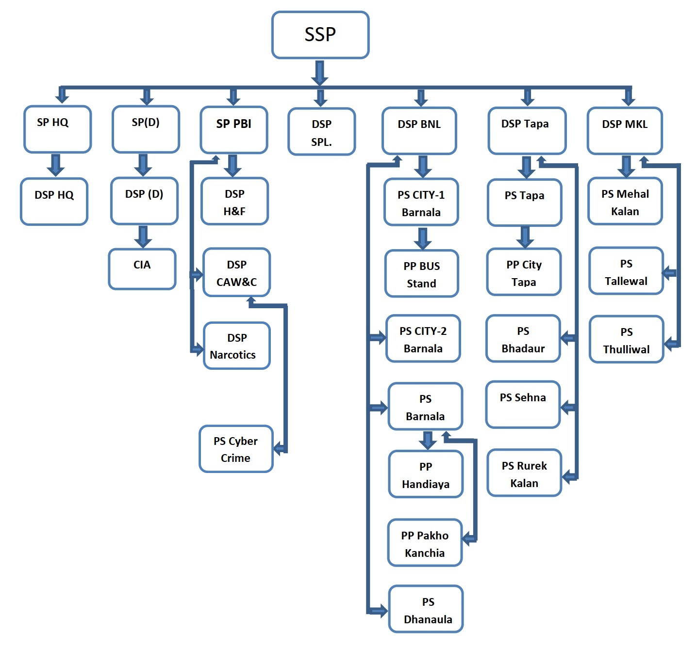 organization chart